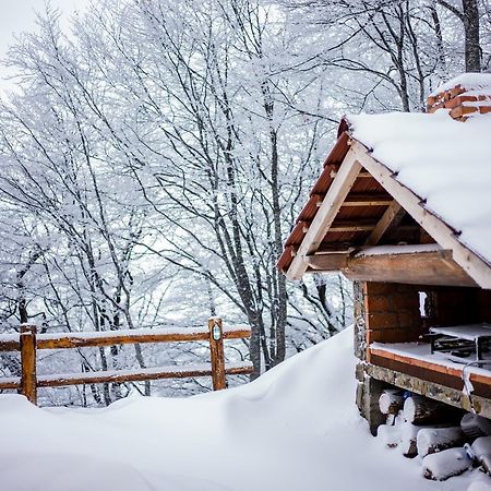 Holiday Home Floris Копаоник Екстер'єр фото